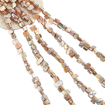 5 Strands Natural Freshwater Shell Beads Strands, AB Color Plated, Nuggets, Peru, 7~14x6.5~9x5~9mm, Hole: 0.8mm, about 46~47pcs/strand, 14.96 inch~15.35 inch(38~39cm)