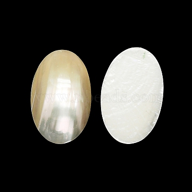 Natural Shell Cabochons(SHEL-K008-07A)-2