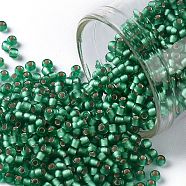 TOHO Round Seed Beads, Japanese Seed Beads, (24BF) Silver Lined Frost Dark Peridot, 11/0, 2.2mm, Hole: 0.8mm, about 5555pcs/50g(SEED-XTR11-0024BF)