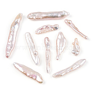 Natural Baroque Pearl Keshi Pearl Beads, Cultured Freshwater Pearl, Toothpick, Top Drilled, Seashell Color, 15~43x3.5~8x2.5~8mm, Hole: 0.6mm(PEAR-S020-E03-1)