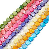 Natural Freshwater Shell Dyed Beads Strands, Flower, Mixed Color, 8x8.5x3mm, Hole: 0.6mm, about 49pcs/strand, 15.35''(39cm)(SHEL-K001-001G)