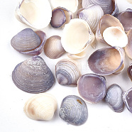 Clam Shell Beads, Undrilled/No Hole Beads, Medium Purple, 7~17x8~17x2~6mm(SSHEL-S258-42)