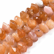 Natural Botswana Agate Beads Strands, Nuggets, Faceted, 10~13x9~11x6~8mm, Hole: 1.2mm, about 29~30pcs/strand, 7.48 inch(19cm)(G-S376-006)