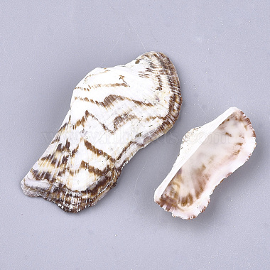 Sea Shell Beads(SSHEL-S258-56)-2