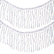 Beading Sequins Polyester Tassel Ribbons, Garment Accessories, Silver, 6-1/4~6-3/8 inch(160~163mm)(SRIB-WH0023-01B)