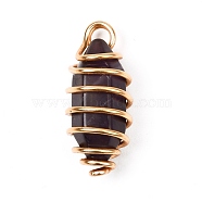 Natural Amethyst Pendants, with Real 18K Gold Plated Brass Findings, Bullet, 25x11x10.5mm, Hole: 3mm(PALLOY-JF00959)