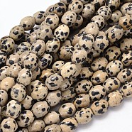Oval Natural Dalmatian Jasper Bead Strands, 10x8mm, Hole: 1mm, about 39pcs/strand, 15.7 inch(G-P106-15)