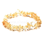 Synthetic Citrine Chips Beaded Stretch Bracelet for Women, 6-3/4~8-5/8 inch(17~22cm)(PW-WG72437-11)