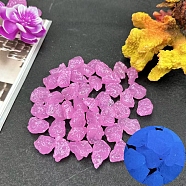 Plastic Imitation Luminous Stone Display Decoration, Nuggest, Violet, 20mm(PW-WG75281-09)
