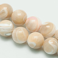 Natural Sea Shell Round Bead Strands, 10mm, Hole: 1mm, about 40pcs/strand, 15.7 inch(SSHEL-M013-10mm-02)