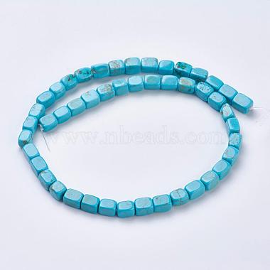 Natural Magnesite Beads Strands(TURQ-K003-11C)-2