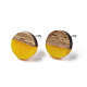 Opaque Resin & Walnut Wood Stud Earrings(EJEW-N017-008-B05)-2