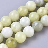 Natural Sinkiang Jade Beads Strands, Round, 6mm, Hole: 1mm, about 60pcs/strand, 14.96 inch(38cm)(G-L538-036-6mm)