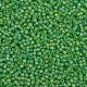 Toho perles de rocaille rondes(X-SEED-TR15-0167F)-2