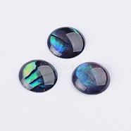 Abalone Shell/Paua Shell Cabochons, Half Round/Dome, Colorful, 8x1~1.5mm(X-SSHEL-K003-8MM)