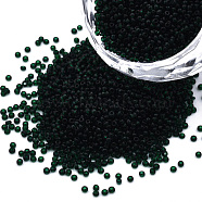 15/0 Transparent Czech Glass Seed Beads, Round, Dark Slate Gray, 1.5x1mm, Hole: 0.5mm, about 500g/bag(SEED-N004-004-31)