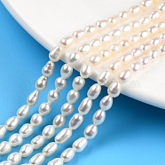 Natural Cultured Freshwater Pearl Beads Strands, Rice, Seashell Color, 5~7x4mm, Hole: 0.7mm, about 61~71pcs/strand, 13.98 inch(35.5cm)(PEAR-N012-04G)