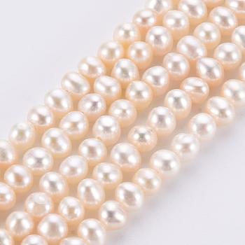 Natural Cultured Freshwater Pearl Beads Strands, Round, Floral White, 3~3.5mm, Hole: 0.8mm, about 113pcs/strand, 14.17 inch