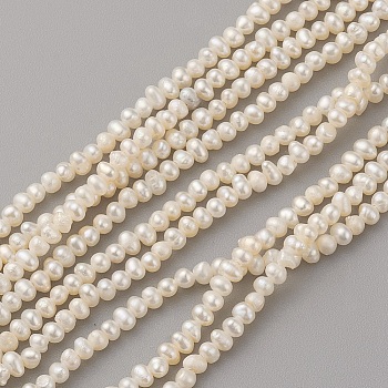 Natural Cultured Freshwater Pearl Beads Strands, Potato, Antique White, 3~3.5x2.3~2.6mm, Hole: 0.5mm, about 168pcs/strand, 15.1 inch(38.5cm)