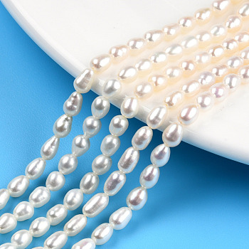 Natural Cultured Freshwater Pearl Beads Strands, Rice, Seashell Color, 5~7x4mm, Hole: 0.7mm, about 61~71pcs/strand, 13.98 inch(35.5cm)