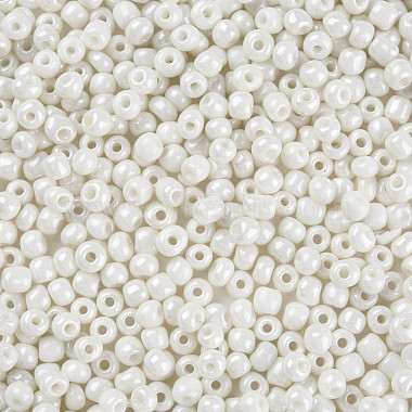 6/0 Glass Seed Beads(SEED-N005-002A-F03)-3