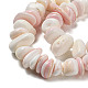 Natural Seashell Shell Beads Strands(SSHEL-H072-10)-3