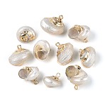 Electroplate Natural Spiral Shell Pendants, Conch Charms with Golden Tone Iron Loops, Seashell Color, 13~19x10~15x13~18mm, Hole: 1.5~1.8mm(SSHEL-N042-04)