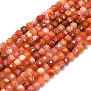Natural Red Agate Beads Strands, Faceted, Cube, 4~4.5x4~4.5x4~4.5mm, Hole: 0.8mm, about 94~96pcs/strand, 15.12~15.47 inch(38.4~39.3cm)(G-G106-G04-01)