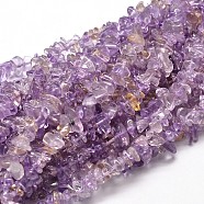 Natural Ametrine Chip Beads Strands, 5~14x4~10mm, Hole: 1mm, about 15.5 inch~16.1 inch(G-E271-95)