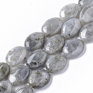 Natural Labradorite Beads Strands, Oval, 18x13.5x6~7mm, Hole: 1.2mm, about  20~22pcs/Strand, 15.55 inch(39.5 cm)(X-G-S359-001B)
