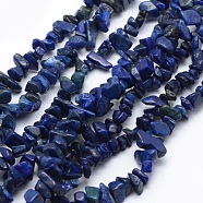 Natural Lapis Lazuli Beads Strands, Dyed, Chip, 5~8mm, Hole: 1mm, about 33 inch(84cm)(G-P332-14)