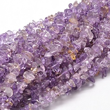 Natural Ametrine Chip Beads Strands, 5~14x4~10mm, Hole: 1mm, about 15.5 inch~16.1 inch
