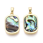 Natural Paua Shell Pendants, Rectangle Charms, with Brass Settings, Golden, 21.5x13.5x2.5mm, Hole: 5.5x2.5mm(KK-T073-64A)