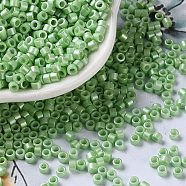 Baking Paint Glass Seed Beads, Cylinder, Light Green, 2.5x2mm, Hole: 1.4mm, about 5039pcs/50g(X-SEED-S042-15A-08)