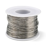 Tiger Tail Wire, 304 Stainless Steel Wire, Round, for Jewelry Making, Stainless Steel Color, 0.5mm, about 524.93 Feet(160m)/Roll(TWIR-XCP0001-15)
