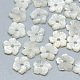 Natural White Shell Beads(SSHEL-S260-003)-1