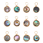 12Pcs Natural Abalone Shell/Paua Shell Pendants, with Copper Wire Wrapped, Flat Round Charms, Real 18K Gold Plated, 17x10.5x2.5mm, Hole: 3mm(SHEL-FI0001-01)