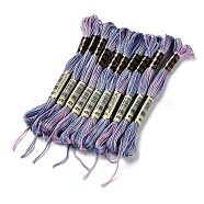 10 Skeins 6-Ply Polyester Embroidery Floss, Cross Stitch Threads, Segment Dyed, Medium Slate Blue, 0.5mm, about 8.75 Yards(8m)/skein(OCOR-K006-A66)