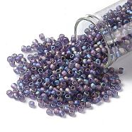TOHO Round Seed Beads, Japanese Seed Beads, (166DF) Transparent AB Frost Light Tanzanite, 8/0, 3mm, Hole: 1mm, about 222pcs/10g(X-SEED-TR08-0166DF)