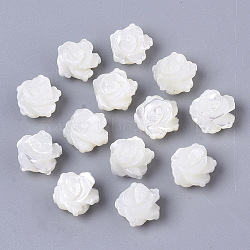 Natural Trochid Shell/Trochus Shell Beads, Double-Sided, Flower, Seashell Color, 8x5mm, Hole: 0.8mm(SSHEL-N034-40A-01)