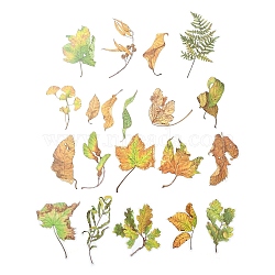 20Pcs 20 Styles Autumn PET Waterproof Stickers, Self-Adhesive Decals for DIY Scrapbooking, Photo Album Decoration, Leaf, Lime Green, 65~94x15~73x0.2mm, 1pc/style(STIC-C004-02A)