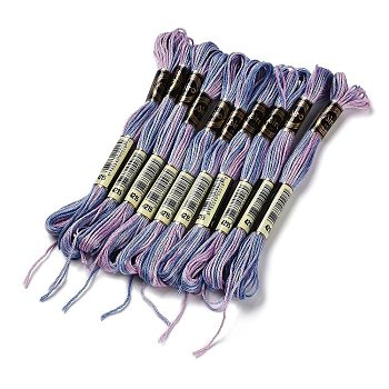 10 Skeins 6-Ply Polyester Embroidery Floss, Cross Stitch Threads, Segment Dyed, Medium Slate Blue, 0.5mm, about 8.75 Yards(8m)/skein