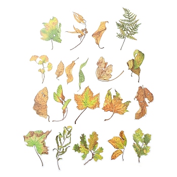 20Pcs 20 Styles Autumn PET Waterproof Stickers, Self-Adhesive Decals for DIY Scrapbooking, Photo Album Decoration, Leaf, Lime Green, 65~94x15~73x0.2mm, 1pc/style