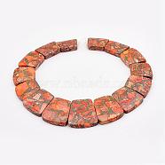 Towanite and Imperial Jasper Graduated Beads Strands, Dyed, Trapezoid, Dark Orange, 16~34x23~28x5~6mm, Hole: 1mm, about 15pcs/strand, 12.2 inch(G-P296-B04)