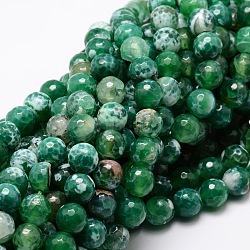 Dyed Natural Agate Faceted Round Beads Strands, Green, 12mm, Hole: 1mm, about 32pcs/strand, 14.9 inch(G-E320C-12mm-01)