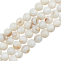 3 Strands Natural Freshwater Shell Beads Strands, Round, Floral White, 7~7.5mm, Hole: 1mm, about 56pcs/strand(SHEL-CA0001-007)