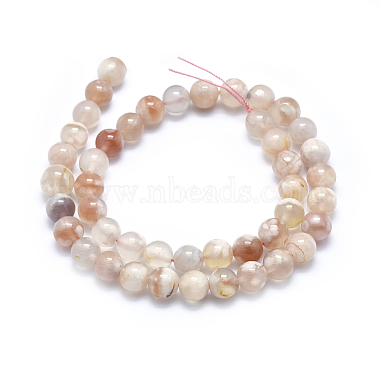 Natural Cherry Blossom Agate Beads Strands(G-I213-23-8mm)-2