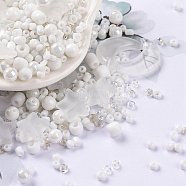 DIY Jewelry Making Finding Kit, Glass & Seed Beads, Round & Star & Moon, White, 2~16x2~12x3~7mm, Hole: 0.8~1.2mm(DIY-R082-01)