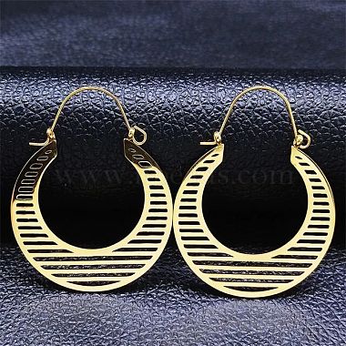 Others 304 Stainless Steel Earrings