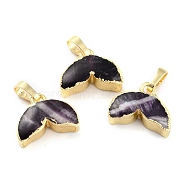 Natural Amethyst Pendants, with Golden Brass Edge Findings, Fish Tail, 12.5~13x15~15.5x5~6mm, Hole: 5x4mm(G-B012-12G-05)